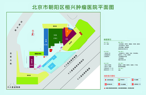 大鸡巴日小逼视频北京市朝阳区桓兴肿瘤医院平面图